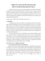 Nghiên cứu về tối ưu hóa khả năng tương thích điện từ của thiết kế bảng mạch in tốc độ cao doc