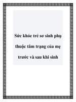 Sức khỏe trẻ sơ sinh phụ thuộc tâm trạng của mẹ trước và sau khi sinh ppt