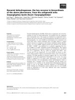 Báo cáo khoa học: Geraniol dehydrogenase, the key enzyme in biosynthesis of the alarm pheromone, from the astigmatid mite Carpoglyphus lactis (Acari: Carpoglyphidae) docx