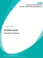 Prostate cancer - Diagnosis and treatment pot