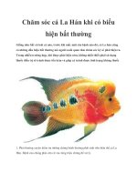 Chăm sóc cá La Hán khi có biểu hiện bất thường potx