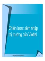 Tiểu luận:Chiến lược xâm nhập thị trường của Viettel doc