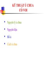 KỸ THUẬT Ủ CHUA CỎ VOI potx