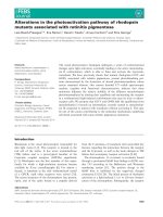 Báo cáo khoa học: Alterations in the photoactivation pathway of rhodopsin mutants associated with retinitis pigmentosa potx