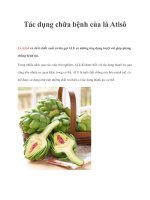 Tác dụng chữa bệnh của lá Atisô doc