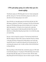 CPM, giải pháp quảng cáo online hiệu quả cho doanh nghiệpTrên thế giới, quảng pot