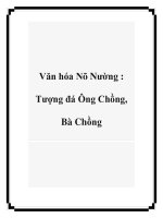 Văn hóa Nõ Nường : Tượng đá Ông Chồng, Bà Chồng pptx