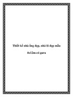 Thiết kế nhà ống đẹp, nhà lô đẹp mẫu 4x12m-có gara docx