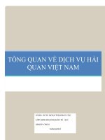 TỔNG QUAN VỀ DỊCH VỤ HẢI QUAN doc