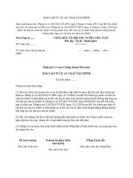 MẪU BÁO CÁO TỶ LỆ AN TOÀN TÀI CHÍNH doc