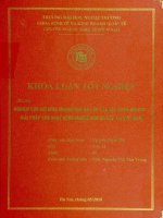 nghiên cứu mô hình marketing đa cấp của tập đoàn amway giải pháp cho hoạt động marketing đa cấp tại việt nam
