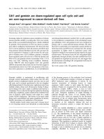 Báo cáo khoa học: 3 Cdt1 and geminin are down-regulated upon cell cycle exit and are over-expressed in cancer-derived cell lines potx