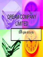 DREAM COMPANY LIMITED pot
