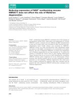 Báo cáo khoa học: Reducing expression of NAD+ synthesizing enzyme NMNAT1 does not affect the rate of Wallerian degeneration ppt