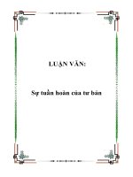 LUẬN VĂN:Sự tuần hoàn của tư bản ppt