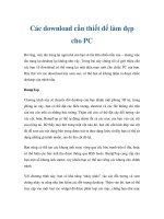 Các download cần thiết để làm đẹp cho PC doc