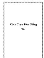 Cách Chọn Tôm Giống Tốt potx