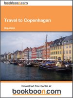 Travel to Copenhagen docx