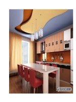 Một số mẫu nhà ống với cách phân chia không gian điển hình pdf