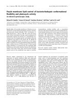 Báo cáo khoa học: Purple membrane lipid control of bacteriorhodopsin conformational ﬂexibility and photocycle activity An infrared spectroscopic study docx