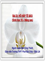 Sinh học lớp 10 - Khoa học tự nhiên: hô hấp tế bào