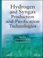 Hydrogen and Syngas Production and Purifi cation Technologies pdf