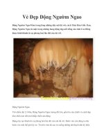 Vẻ Đẹp Động Ngườm Ngao docx