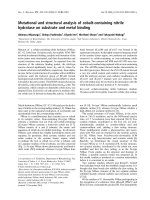 Báo cáo khóa học: Mutational and structural analysis of cobalt-containing nitrile hydratase on substrate and metal binding pdf