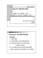 GIÁO TRÌNH QUẢN TRỊ RỦI RO - CHƯƠNG I pdf