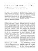 Báo cáo khóa học: Noncytotoxic ribonuclease, RNase T1, induces tumor cell death via hemagglutinating virus of Japan envelope vector ppt