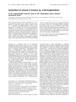 Báo cáo khoa học: Inactivation of annexin II tetramer by S-nitrosoglutathione pot
