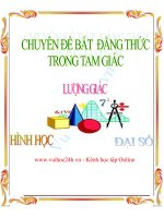 Chuyên đề bất đẳng thức trong tam giác docx