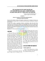 Kết quả đánh giá đa dạng nguồn gen cây khoai mỡ (Dioscorea alata L.) đang bảo quản tại Ngân hàng Gen cây trồng Quốc gia năm 2009 pptx