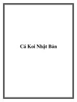 Cá Koi Nhật Bản ppt