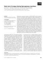 Báo cáo khoa học: Dual role of oxygen during lipoxygenase reactions potx