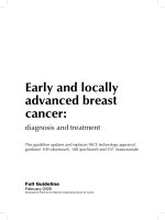 Early and locally advanced breast cancer: diagnosis and treatment pdf
