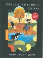 Database Management Systems Third edition pdf