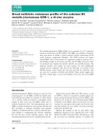 Báo cáo khoa học: Broad antibiotic resistance proﬁle of the subclass B3 metallo-b-lactamase GOB-1, a di-zinc enzyme potx