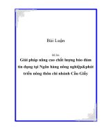 Đề Tài: Giải pháp nâng cao chất lượng bảo đảm tín dụng tại Ngân hàng nông nghiệp & phát triển nông thôn chi nhánh Cầu Giấy pptx