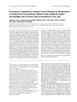 Báo cáo khoa học: Protection of chylomicron remnants from oxidation by incorporation of probucol into the particles enhances their uptake by human macrophages and increases lipid accumulation in the cells ppt