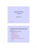 Queueing Theory - A primer doc