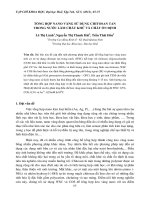TỔNG HỢP NANO VÀNG SỬ DỤNG CHITOSAN TAN TRONG NƯỚC LÀM CHẤT KHỬ VÀ CHẤT ỔN ĐỊNH pot