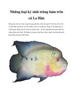Những loại ký sinh trùng bám trên cá La Hán pdf