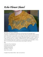 Echo Flower Shawl pdf
