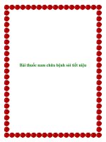 Bài thuốc nam chữa bệnh sỏi tiết niệu potx