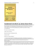 Books Condemned to be Burnt ppt