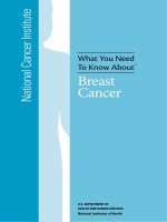 What You Need To Know About™ - Breast Cancer potx