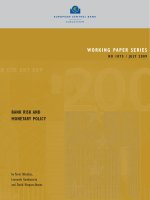 Working PaPer SerieS no 1075 / July 2009: Bank riSk anD MoneTary PoliCy ppt