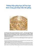 Những biện pháp hạn chế hao hụt lươn trong giai đoạn đầu thả giống docx