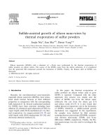 Sulfide assisted growth of silicon nano wires by thermal evaporation of sulfur powders